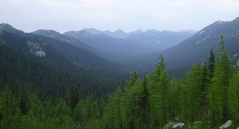 green trees stand in front of a mountainous valley in the pacific northwest